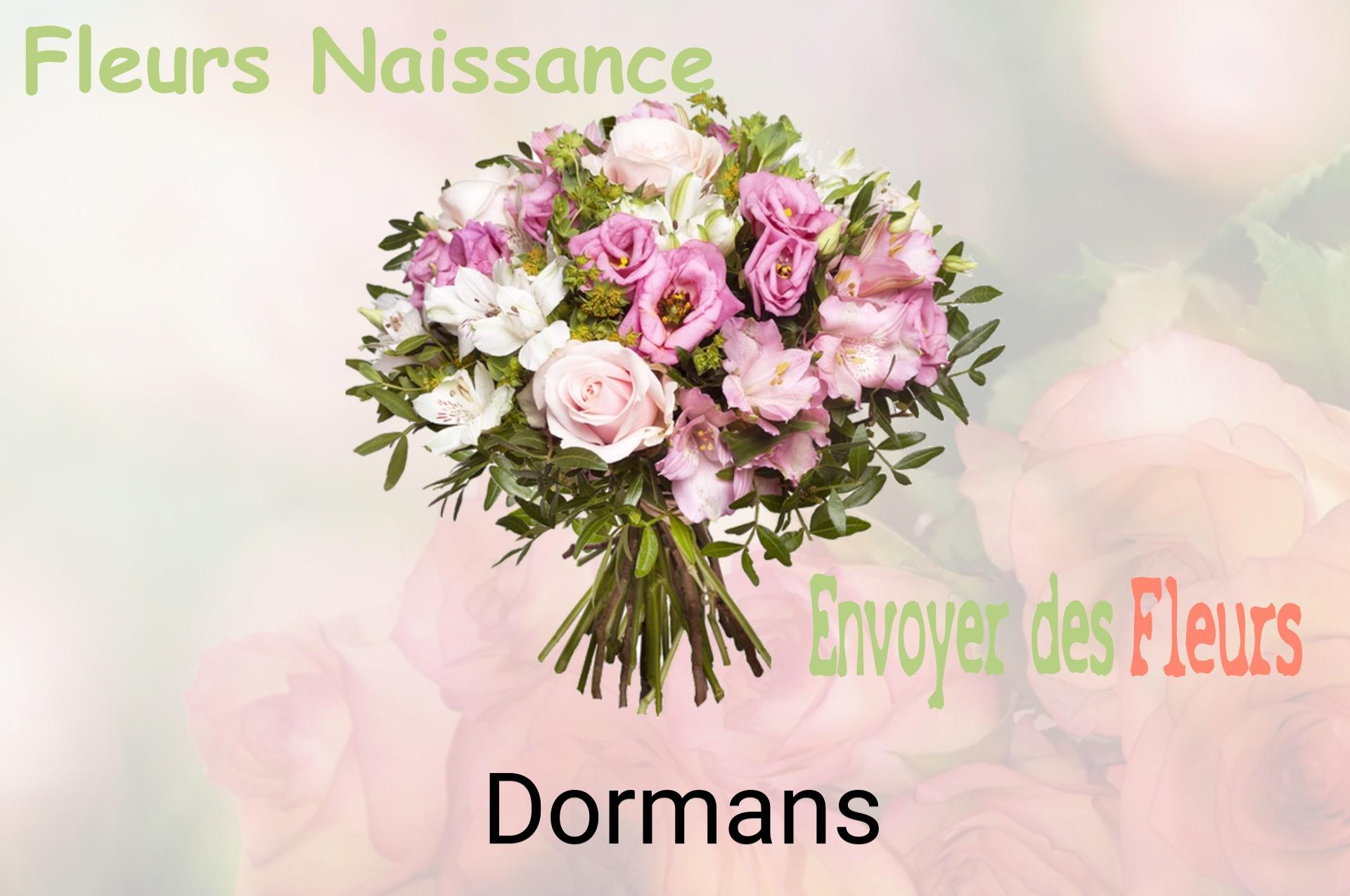 Bouquet de fleurs de naissance livré à Dormans